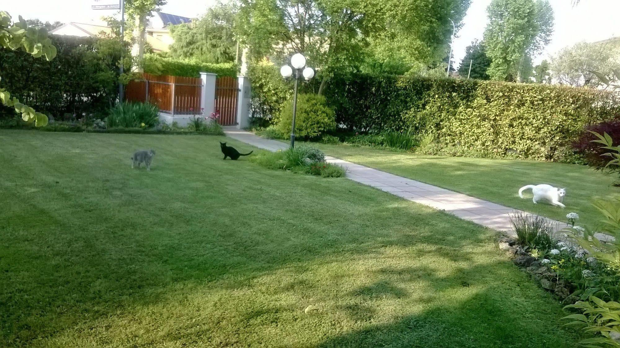 B&B Le Tre Grazie San Martino di Lupari Екстер'єр фото